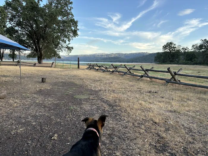 Oak Flat Campground Picture 9