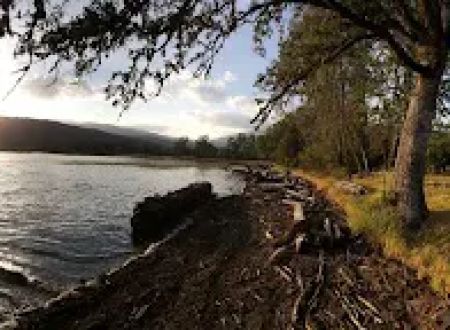 Navy Camp Campground