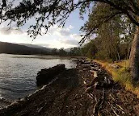 Navy Camp Campground