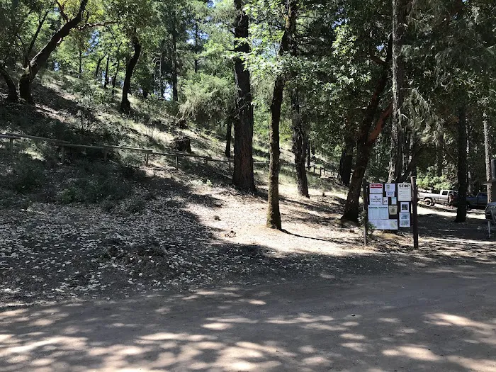 Pine Point Picnic Picture 5
