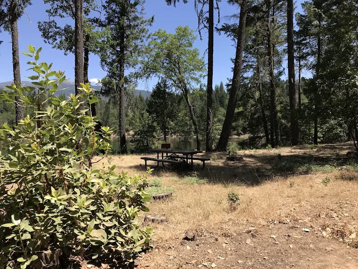 Pine Point Picnic Picture 4