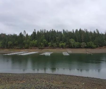 Pine Point Picnic