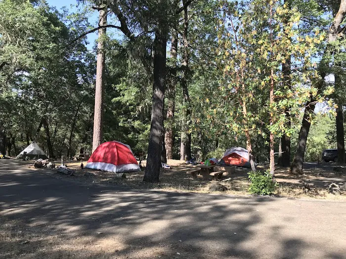 Pogie Point Campground Picture 3