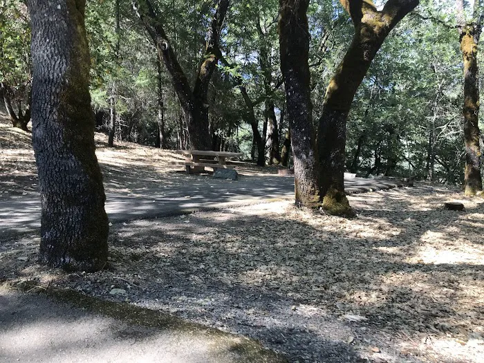 Pogie Point Campground Picture 6