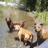 Stonyford Recreation Area ico