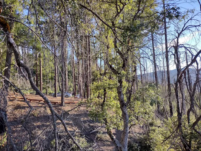 Old Mill Campground Picture 3