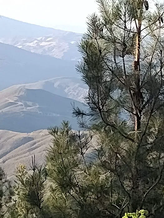 Old Mill Campground Picture 4