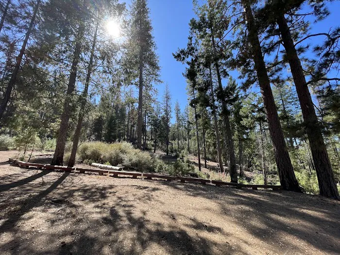 Old Mill Campground Picture 8