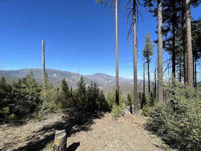 Old Mill Campground Picture 9