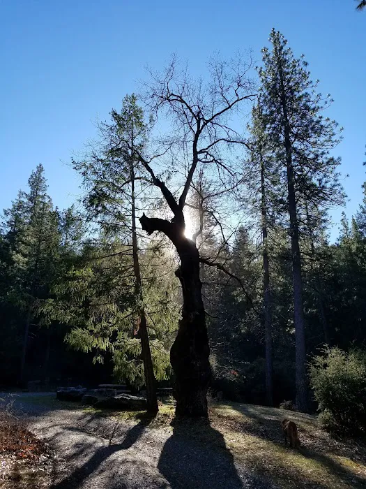Dixie Glade Campground Picture 3
