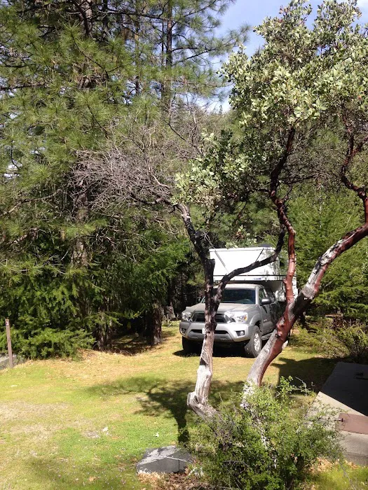 Dixie Glade Campground Picture 7