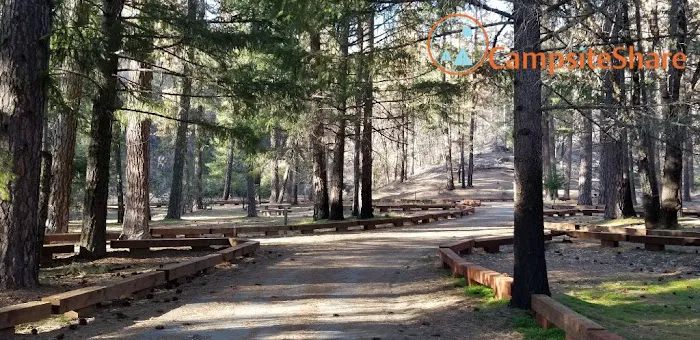 Mill Valley Picture 4
