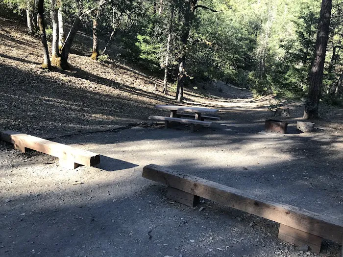 Mill Valley Picture 8