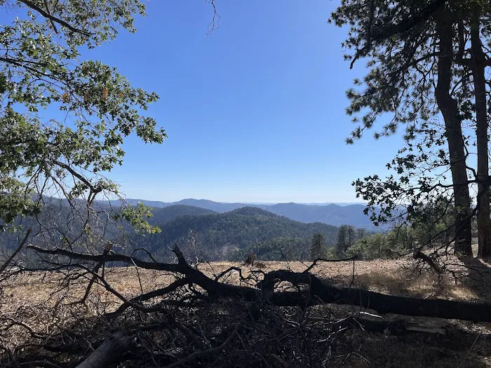 Summit Springs Campground Picture 6