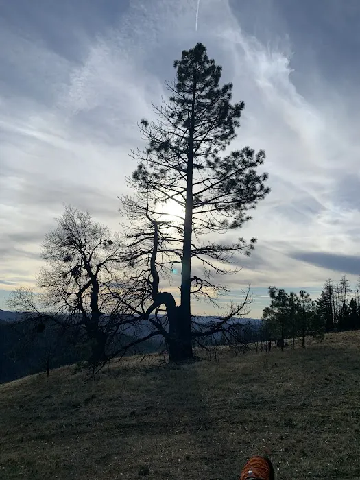 Summit Springs Campground Picture 7