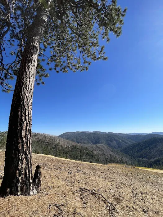 Summit Springs Campground Picture 2