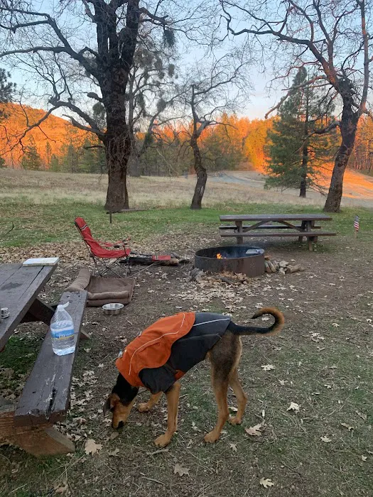 Summit Springs Campground Picture 10