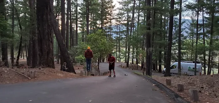 Fuller Grove Campground Picture 7
