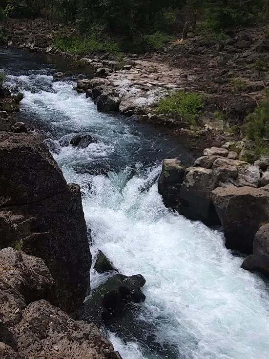 McCloud Area Picture 1