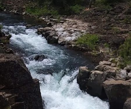 McCloud Area
