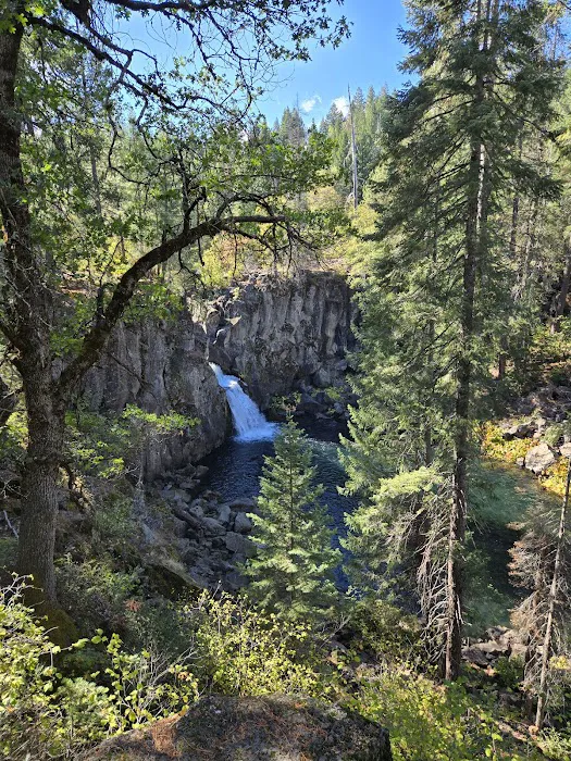 McCloud Area Picture 4
