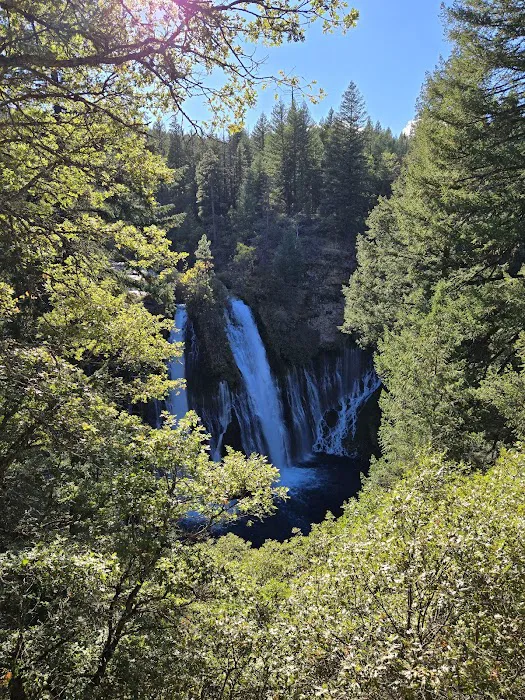 McCloud Area Picture 10