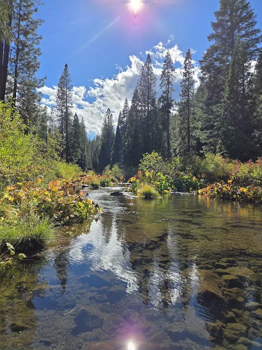 McCloud Area Picture 7