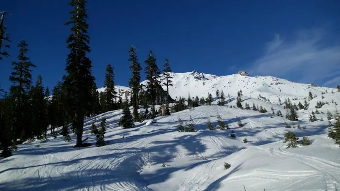 Panther Meadow Campground Picture 5