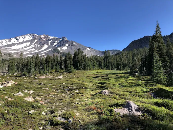 Panther Meadow Campground Picture 8