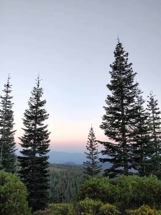 Panther Meadow Campground Picture 7