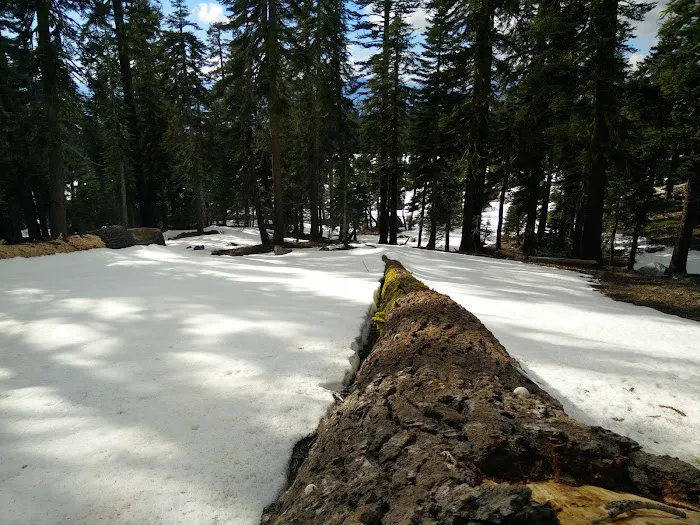 Panther Meadow Campground Picture 10