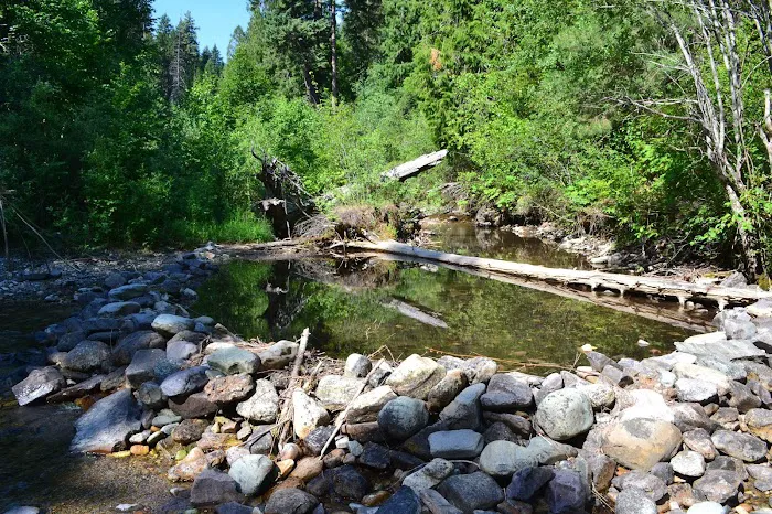 Trout Creek Campground Picture 6