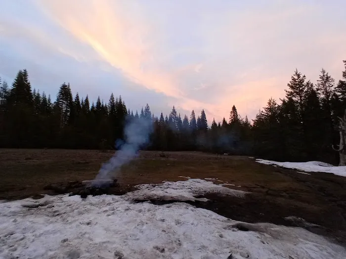 Trout Creek Campground Picture 3