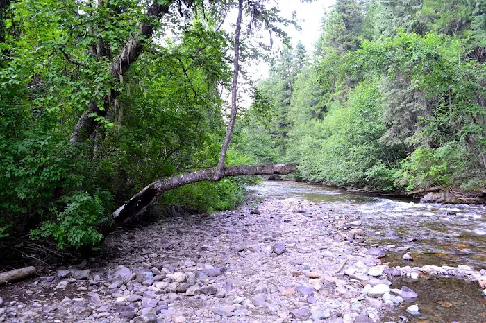 Trout Creek Campground Picture 7