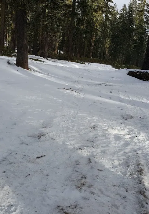 Red Fir Flat Group Campground Picture 3