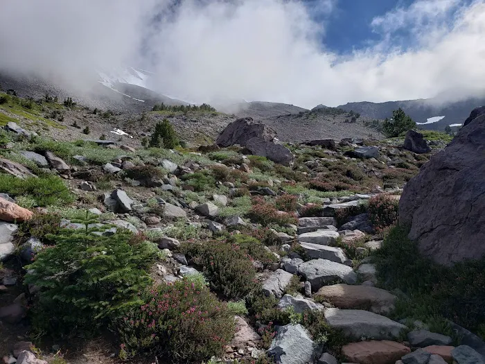 Helen Lake Campsite Picture 6