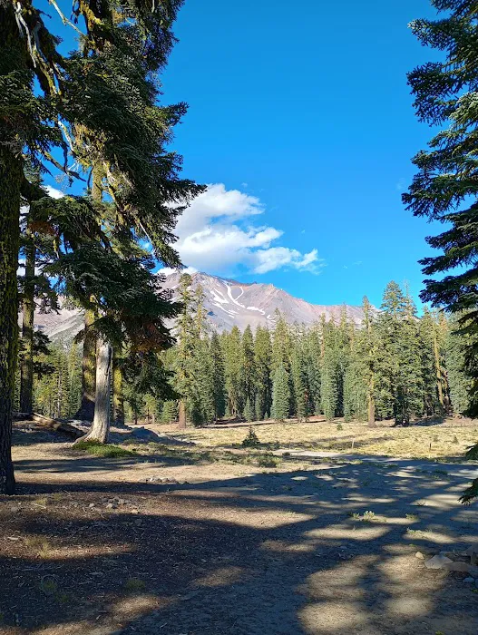 Upper sand flat field Picture 2
