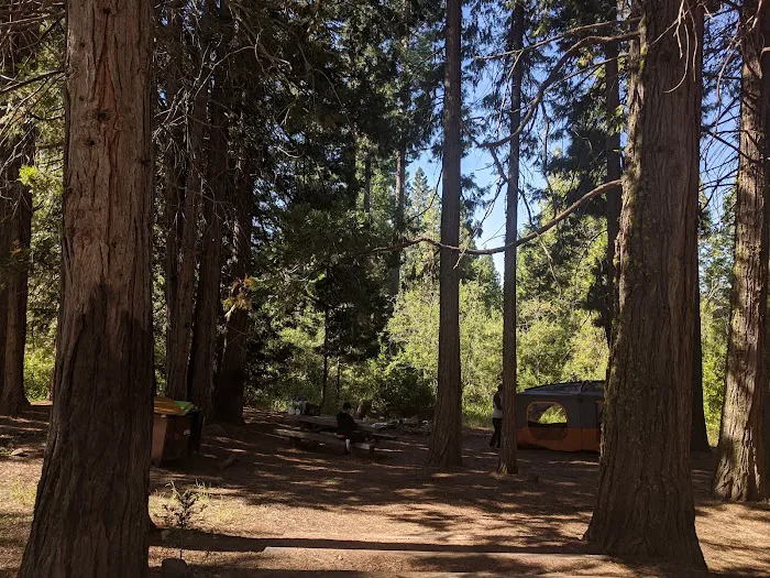 McBride Springs Campground Picture 7