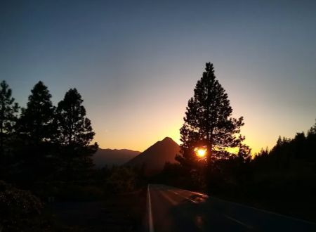 McBride Springs Campground