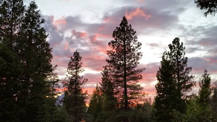 McBride Springs Campground Picture 4