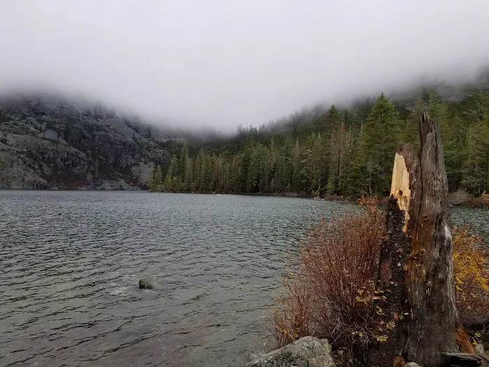 Castle Lake Campground Picture 4