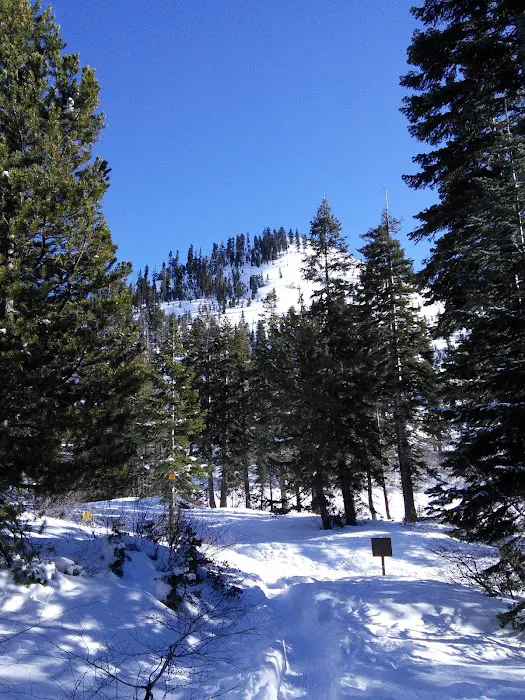 Castle Lake Campground Picture 3