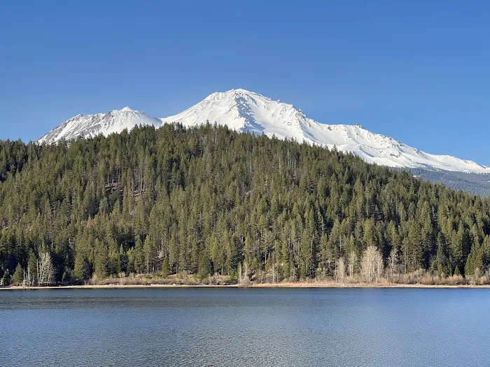 Lake Siskiyou Camp Resort Picture 5