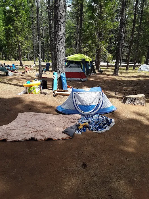 Lake Siskiyou Camp Resort Picture 3