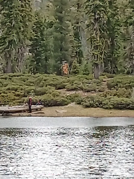 Gumboot Campground Picture 4