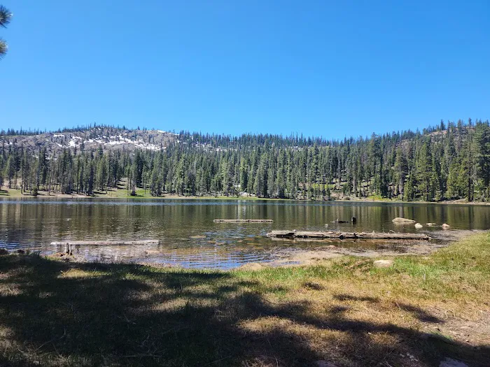 Gumboot Campground Picture 5