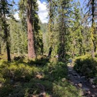 Gumboot Campground ico