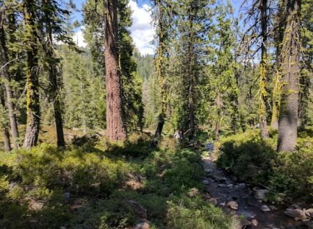 Gumboot Campground