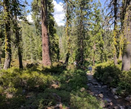 Gumboot Campground