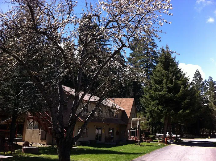 Mount Shasta City KOA Holiday Picture 2